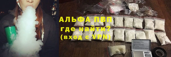 шишки Верхний Тагил