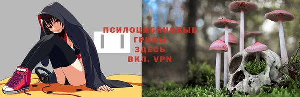 шишки Верхний Тагил
