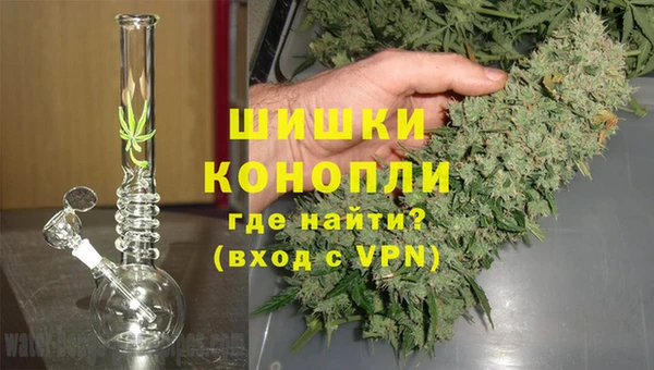 стафф Волосово