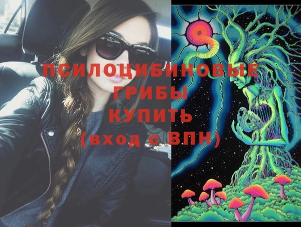 стафф Волосово