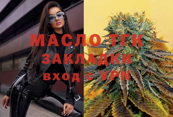 шишки Верхний Тагил