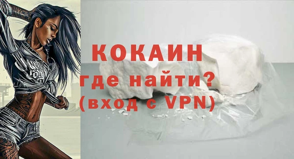 шишки Верхний Тагил