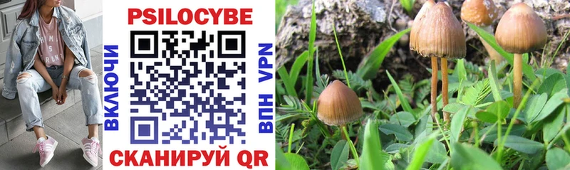 Псилоцибиновые грибы MAGIC MUSHROOMS  Купить где  Усть-Илимск 